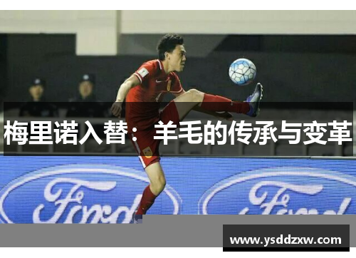 梅里诺入替：羊毛的传承与变革
