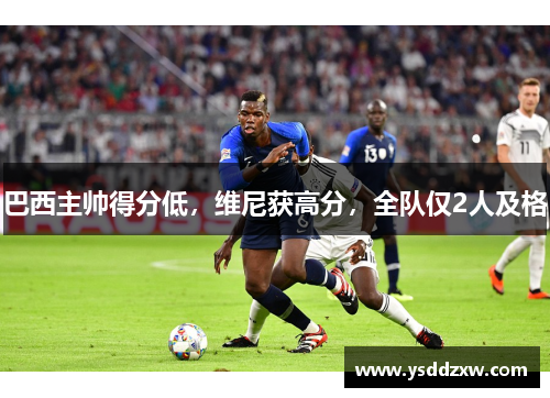 巴西主帅得分低，维尼获高分，全队仅2人及格